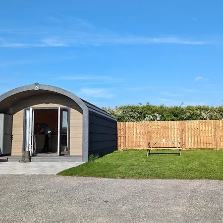My Happy Hounds Glamping Northallerton