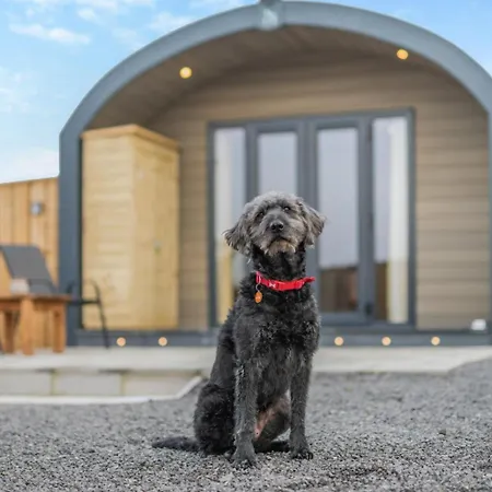 My Happy Hounds Glamping * Northallerton